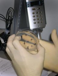 Purdue's bacteria test