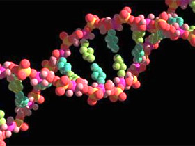 DNA