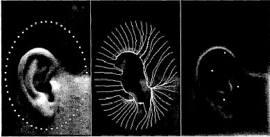 Reconnaissance de l'oreille par champ de force