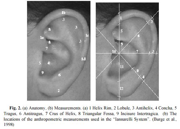 Mesures du système Iannarelli