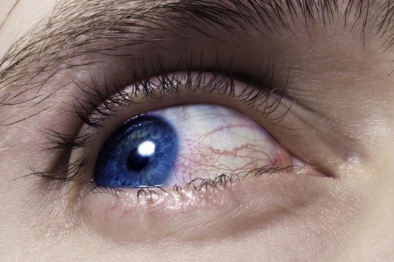 eye verify
