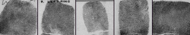 Fingerprint categories general direction