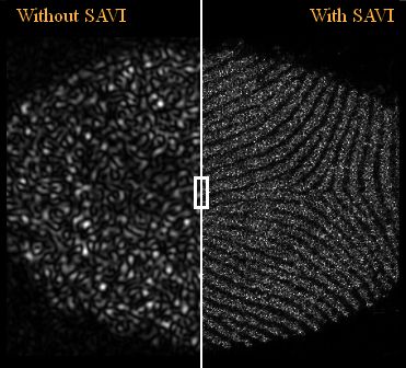 SAVI enhanced image