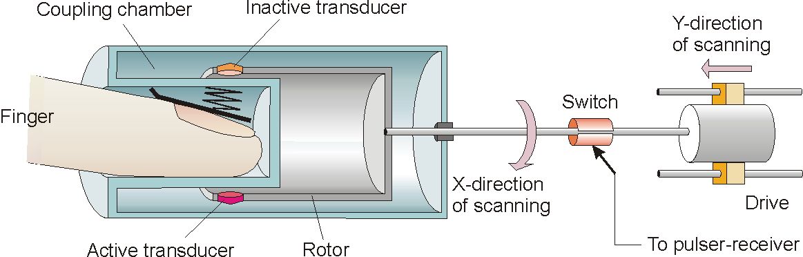 Tessonics