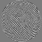 Optel fingerprint