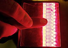 Optical sensor with red LEDs