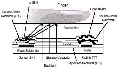 fingerprint sensing light transmission