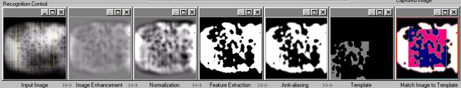 Feature extraction